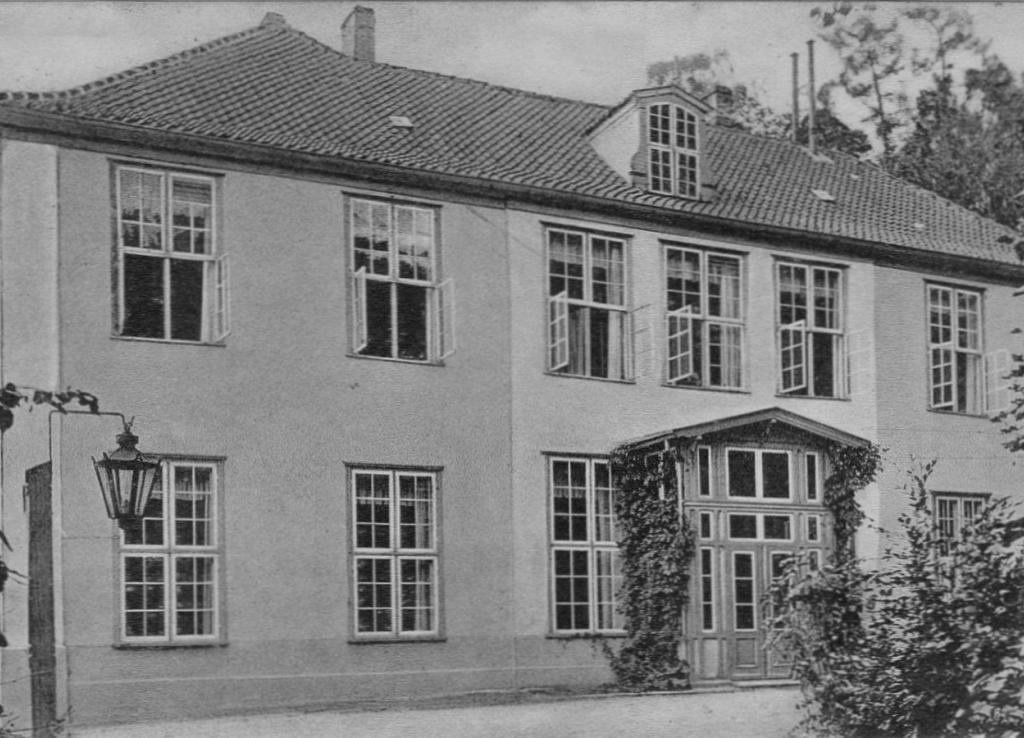 polanki