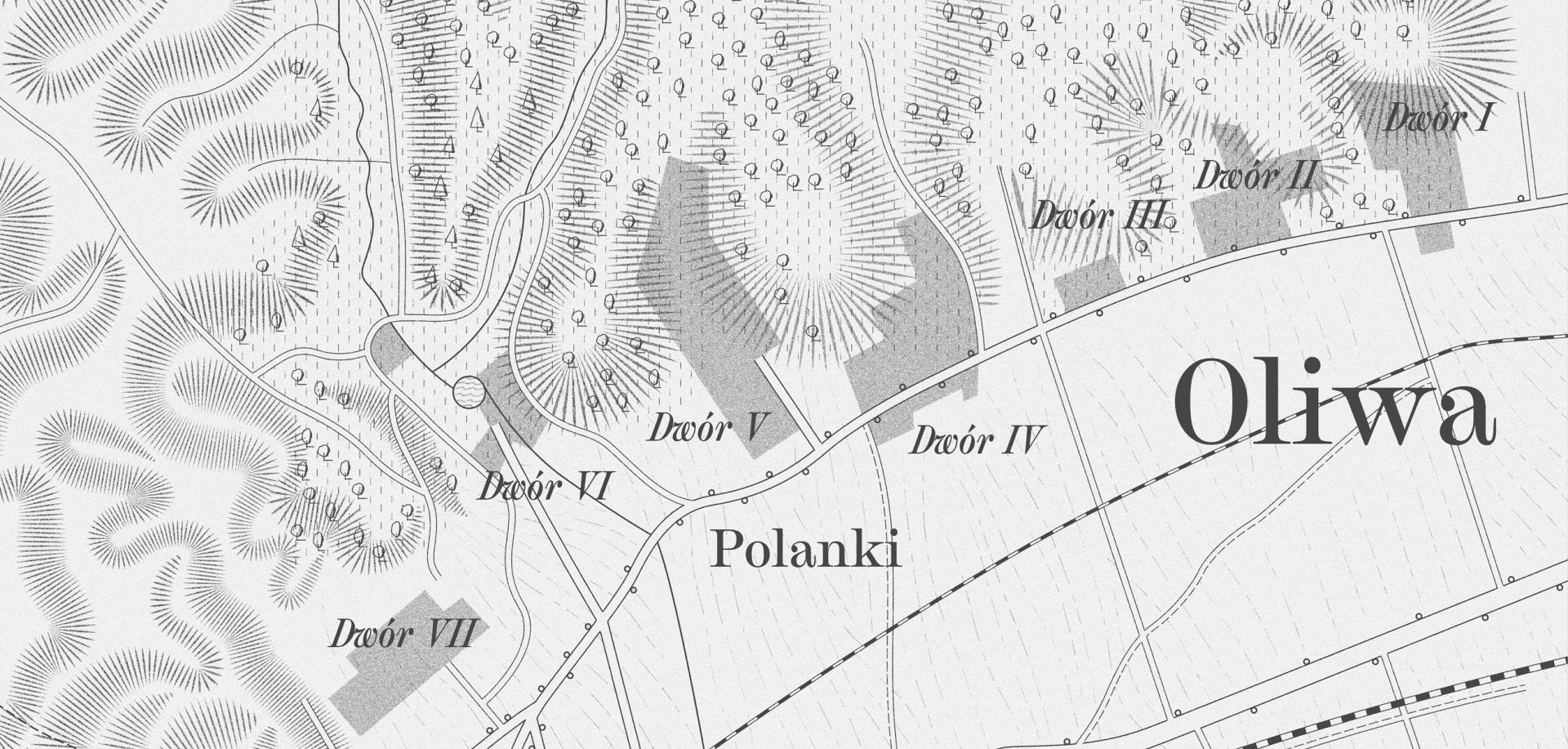 polanki
